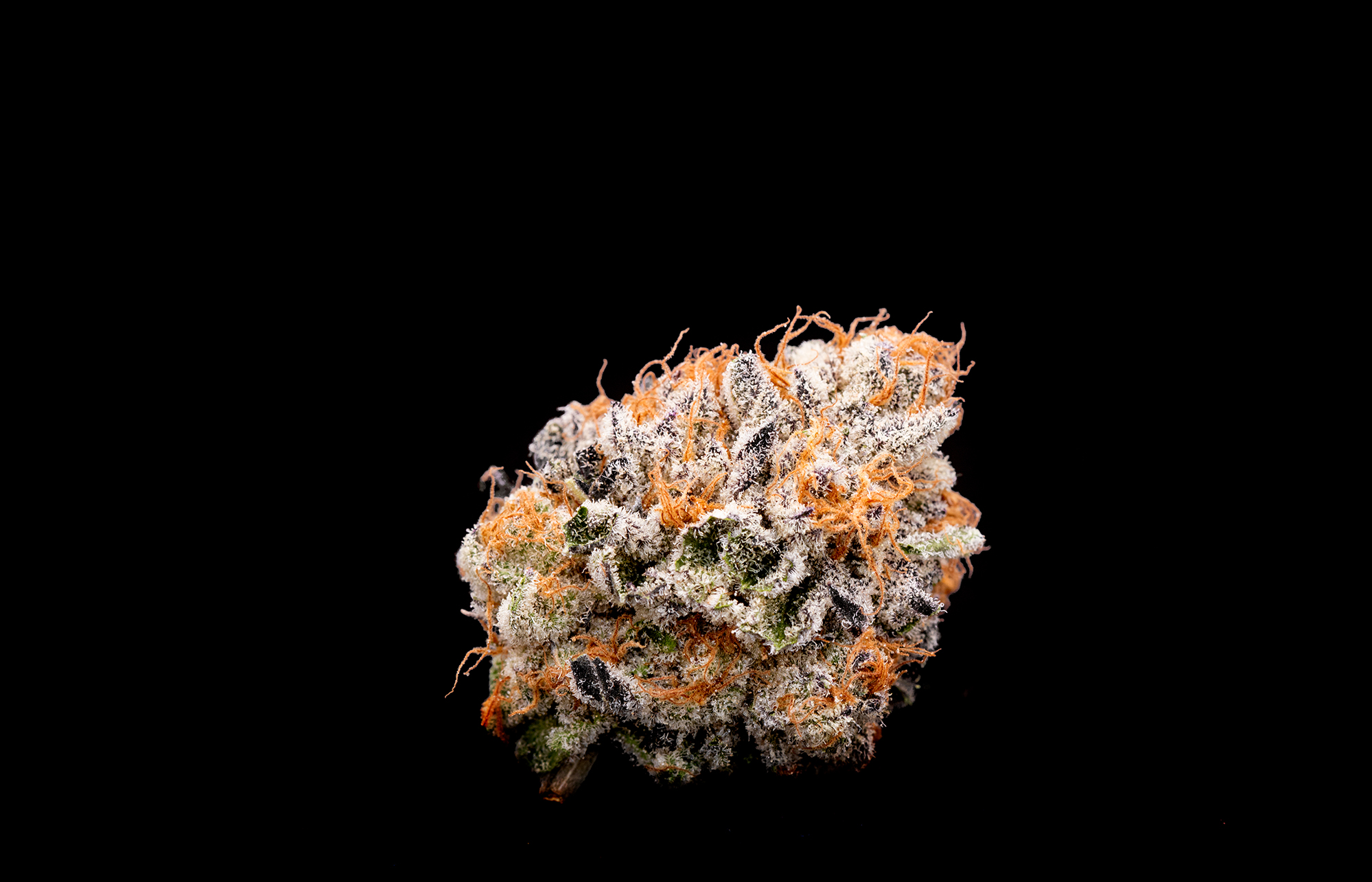 Marijuana bud produced by PDX